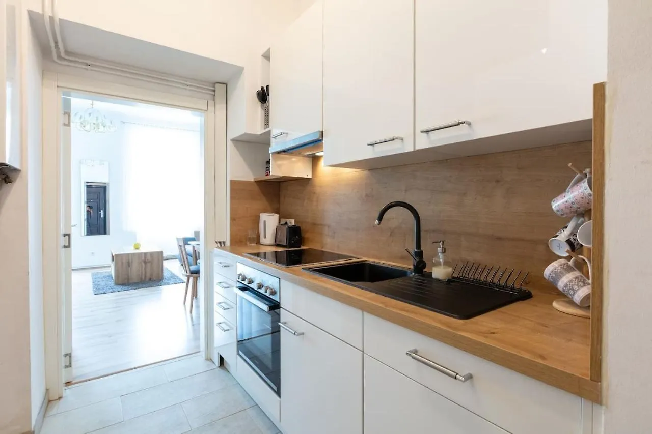 Sunny Renovated Apartment Close To Downtown Vienna Austria